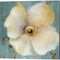 Late Summer Poppies & Roses by Lanie Loreth 14" x 14" Canvas Wall Art (Set of 2)